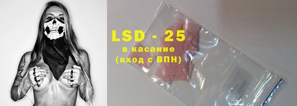 гидра Богданович
