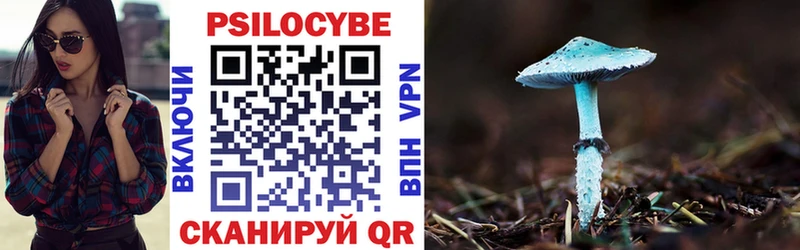 Галлюциногенные грибы ЛСД  Купить где  Дубовка 