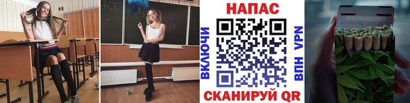 Купить где  Дубовка  Бошки Шишки сатива 